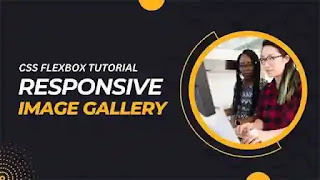 Create A Responsive Image Gallery Using Css Flexbox Grid Create A Responsive Image Gallery Using Css Flexbox Grid